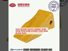 R225 R225RC R225TL R290RC R290 61Q6-31310 61N8-31310RC E262-3046 Dentes de balde